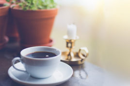 <h2><b>New Friends</b></h2>