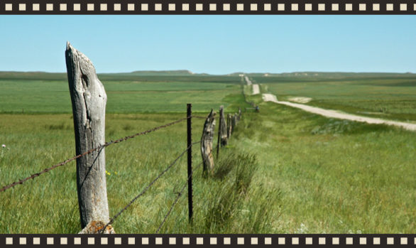 Explore Outside the Area