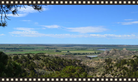 Yellowstone River Excitement